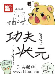 功夫状元