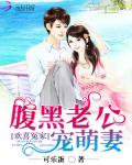 欢喜冤家：腹黑老公宠萌妻